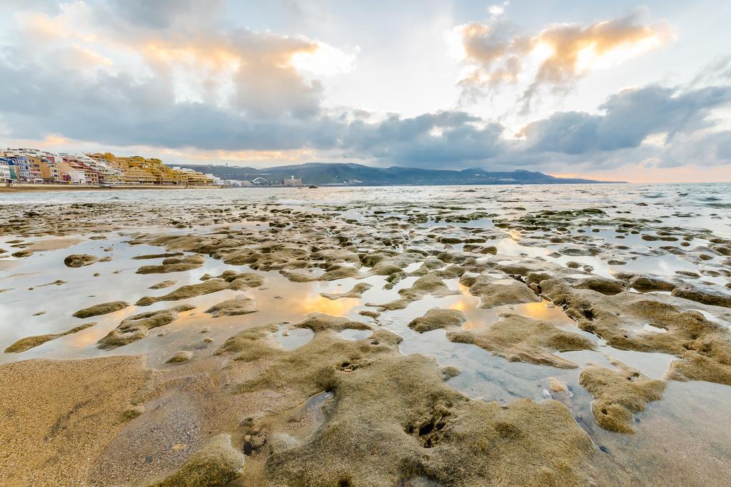 Crisol Faycan Las Palmas de Gran Canaria Luaran gambar